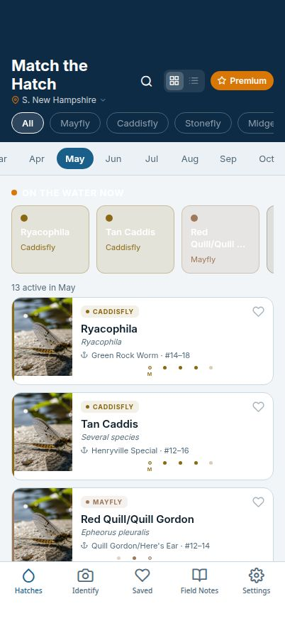 Match the Hatch Hatch Browser screen